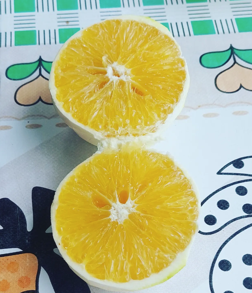 Laranja Bahia